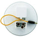 back of stop turn tail light showing 3 pin plug with extra wire for back up light